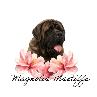 Magnolia Mastiffs